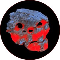 OptionSkull (@optionskull) 's Twitter Profile