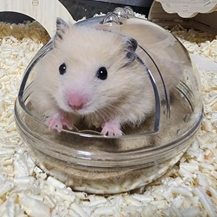 김춘삼🎗️さんのプロフィール画像