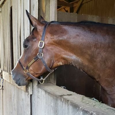 Constitutional Libertarian, Farmer, Horseman