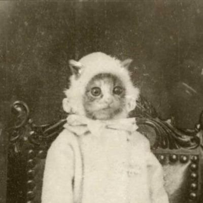 Jas_probably's profile picture. I'm like if a robot was really old (23). I take film and digital photos and post them sometimes. Also I can feel magnetic fields. 🔞