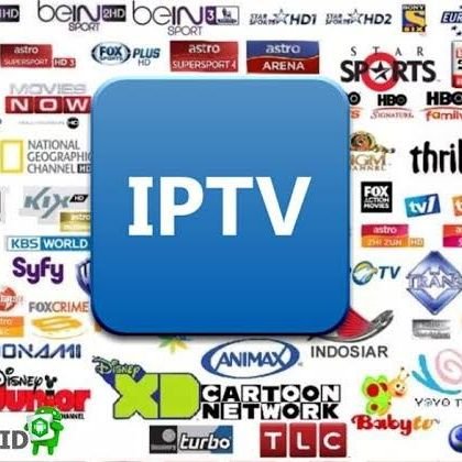 best_iptv39559 Profile Picture