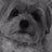 kyrablank's profile image