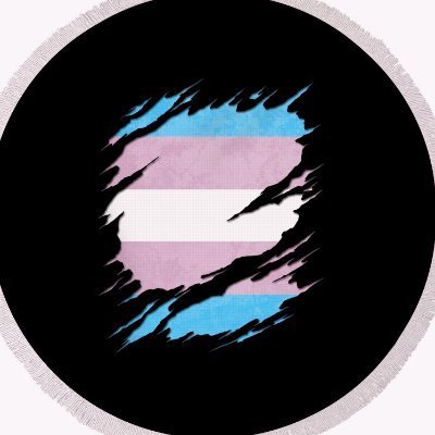 TransSexVids Profile Picture