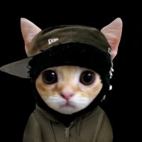 Razefn (@raze_jaden) Twitter profile photo