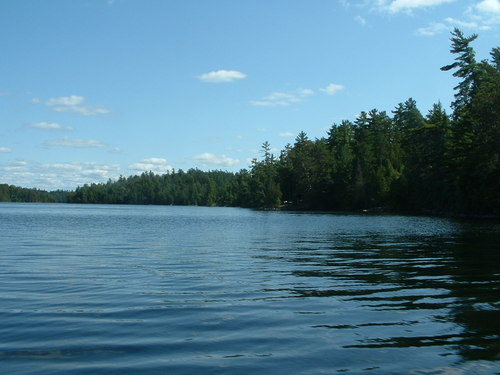 The Temagami Lakes Association (TLA) is dedicated to preserving the natural scenic beauty of Lake Temagami and its surroundings.