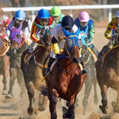 Free&Premium Tips On Horse Racing,Football,Darts and BasketBall   Join My Free Group Via This Link https://t.co/1kGIplWvPl 🔗
