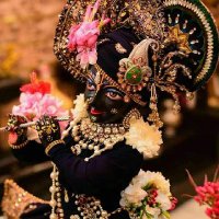 Raghavi (@raghavi1900) 's Twitter Profile
