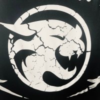 Cats Football (@catsfootball__) 's Twitter Profile