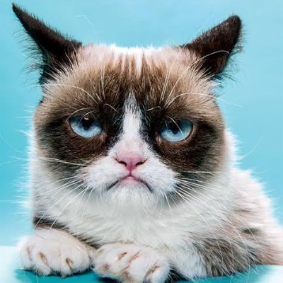 $GRUMPY is the dankest meme on Solana! We've seen $CatWifHat; $GRUMPY will be the next big cat meme on Solana!
https://t.co/fZsgjQRdoi