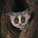 Beryl Pearson - @BerylPears87646 - Twitter