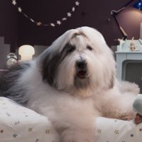 Dulux UK | Colour & Inspiration(@duluxuk) 's Twitter Profile Photo