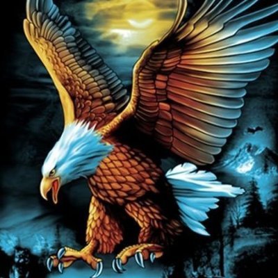 zamqaah's profile picture. الحمد لله