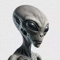 Skywalker (@xbianque) Twitter profile photo