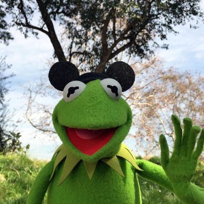 depressed about the Phillies
Grogu aficionado, muppet impersonator, phils fan, disney parks obsessed, and scooter fan❤️
