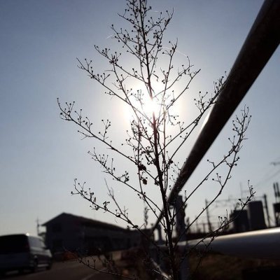 nguyencongtan's profile picture. $LINK $FTM $CHR $CWIF