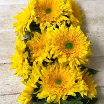 matiyu004678831's profile picture. ポカチェ垢だった物