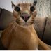 Aaron Izquierdo (@aaronizqui7943) Twitter profile photo Aaron Izquierdo (@aaronizqui7943) Twitter profile photo