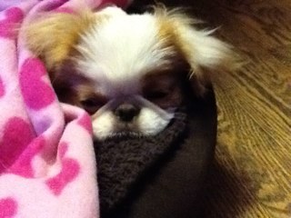 miracle2x's profile picture. Like to discuss current events, politics.