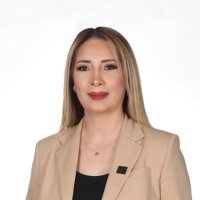 aysun kaykusuz(@AysunKaykusuz) 's Twitter Profile Photo