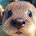 JoséA (@jose1964) Twitter profile photo JoséA (@jose1964) Twitter profile photo
