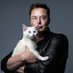 Elon Musk X shareholding (@ElonmuskXshares) Twitter profile photo
