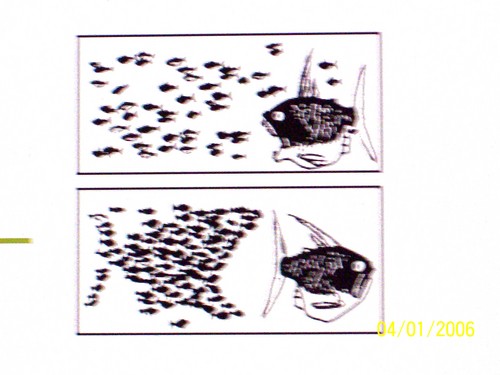Me considero Ecologista-Artista y una persona cada vez más Auto-Didacta ... después de la Escuela o Colegio y Educación Universitaria incompleta ...