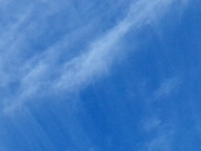 _Cassia_Rosa's profile picture. 🎶 And here I go again on my own
Goin' down the only road I've ever known🎶
✌🏻🌻🙃