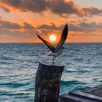 Este no soy yo (@yerays) 's Twitter Profile Photo