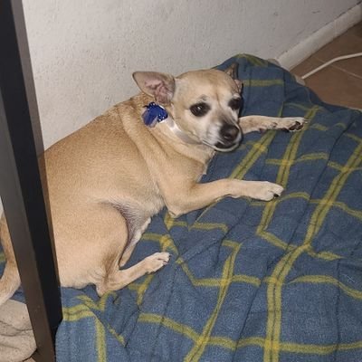 jsttrbl22's profile picture. Indiana born and raised living in az