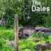 Live The Dales (@livethedales) Twitter profile photo Live The Dales (@livethedales) Twitter profile photo