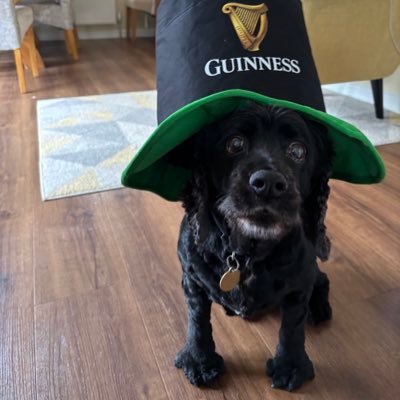 westy180's profile picture. Loves Norwich, Hates Ip5w1ch!!!!