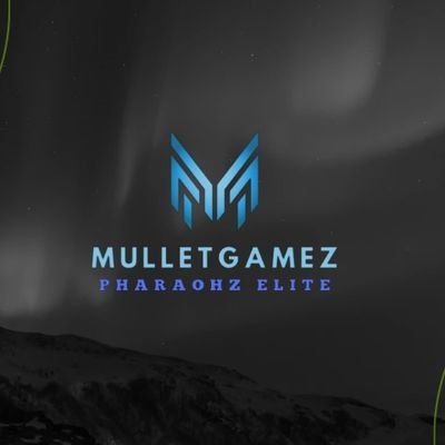 MulletGamez Profile Picture