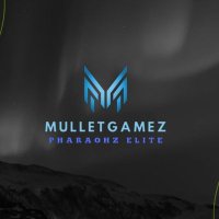 MulletGamez(@MulletGamez) 's Twitter Profile Photo