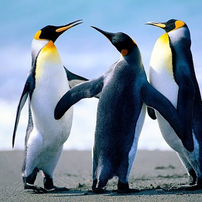 DiegoSa76610281's profile picture. 