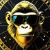 Billy Air Meme Coin (@billyaircoin) Twitter profile photo Billy Air Meme Coin (@billyaircoin) Twitter profile photo