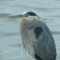 Austin Newman (@austinnewman14_) 's Twitter Profile Photo