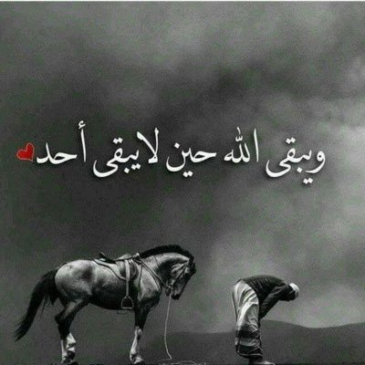 من لابته مثلي وجدّه معرّب يحق له يفخربهم طول الأيام كلن معه قسمه ولاحدن مجرّب وأنا كسبت الجود والعز من #يام #نصراوي لاخر العمر.