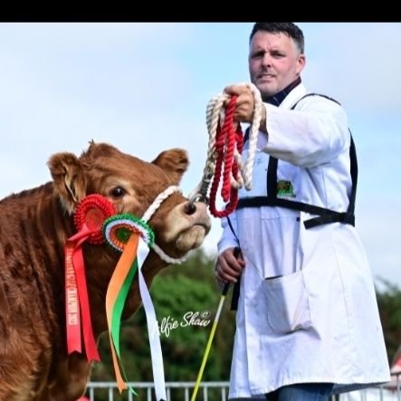 part time farmer of pedigree  Limousin cattle and Suffolk sheep breeder in the east of  Cavan ireland 🇮🇪