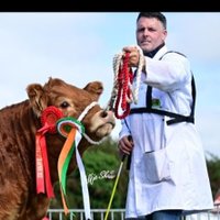 Muff Suffolk & Limousin Herd (@herdmuff) 's Twitter Profile
