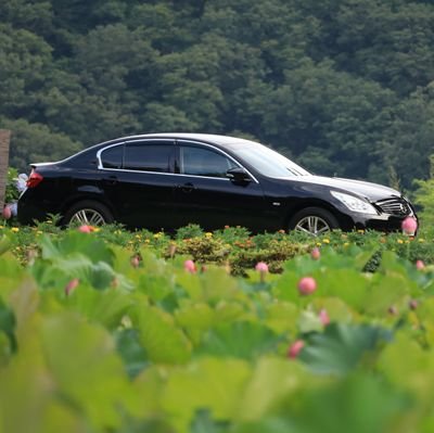 車が好きです!日産が大好きです!
I ♥️ SKYLINE !!
他にはミニカーとゲームを時々😸たまにゴジラにカメラ📷️
どこにでもいる麺好き猫好き多趣味人間です🙆
2024.4.27スカイラインからルークス乗りになりました✨
ルークスでも真っ黒です…