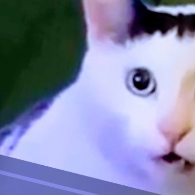 vmh8qg58hg1's profile picture. WHEW!!