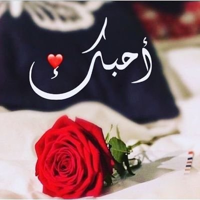 لا اعرف ماهو سر النجاح، 
لكن سر الفشل هو محاولة إرضاء الجميع،،،؟