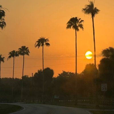 Toti81266585's profile picture. 