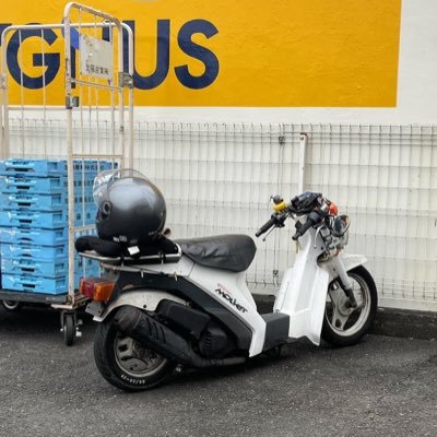 yukito_0725's profile picture. #動物ケツ穴ﾚｰｼﾝｸﾞ #ｽｰﾊﾟｰﾓﾚｼｬｺﾀﾝｸﾗﾌﾞ #NA11A #FA14B かなりマイペース屋 離れる時はブロ解でお願いします