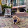 BuurmannBuurman's profile picture. #1 patcho fan, #1 bag chaser, yyds enjoyer, shawarma eater, self proclaimed king of china, #1 western trader, #1 broker, #1 middleman, #1 maozi