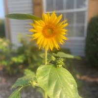 God’s Half Acre (@nancyjohere) 's Twitter Profile Photo God’s Half Acre (@nancyjohere) 's Twitter Profile Photo