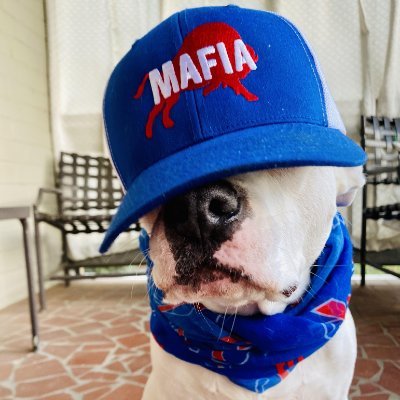 journalist, writer, pitbull advocate, lover of dogs, food, midcentury modern and everything Buffalo! #GoBills ❤️ #BillsMafia #GoSabres *opinions are my own*