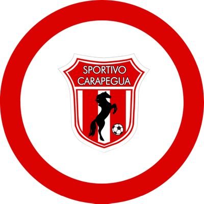 Cuenta oficial del Club Sportivo Carapeguá - El Potro Carapegueño 🐎⚪️🔴

Contacto 📧 sportivocarapegua2023@gmail.com