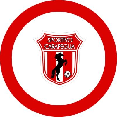 Cuenta oficial del Club Sportivo Carapeguá - El Potro Carapegueño 🐎⚪️🔴
Contacto 📧 sportivocarapegua2023@gmail.com