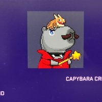 Kiara Hill (@web3zhu0311) 's Twitter Profile